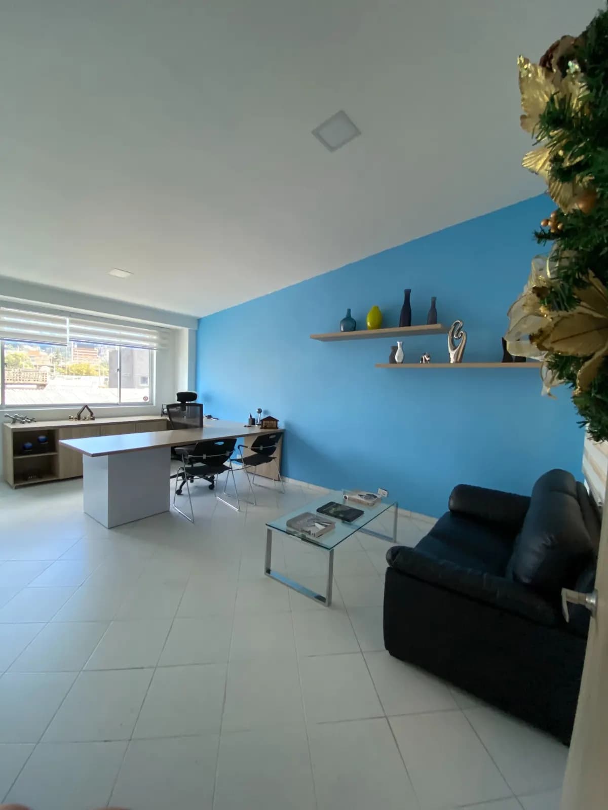 Oficina gerencial con pared azul